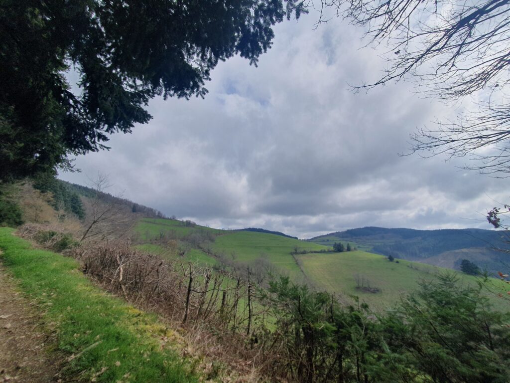 an landscape of hilly pastures and forests, under a tormented cloudy sky, framed by trees .