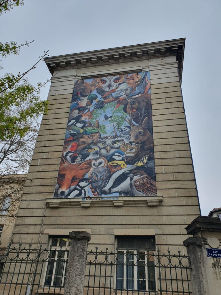 a mural of numerous animals on an ancient looking beige building wall