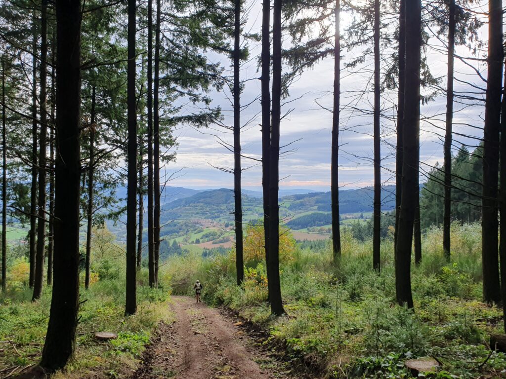 trail going down out of a light fir forest. beyond a landscape of hills with fields and forest. on one of the hill we can see a village: the next checkpoint.
there is a runner a few meters in front of me