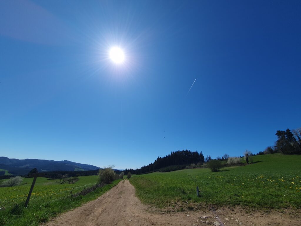 brown trail going between bright green pastures under a spotless sky,with the white dot of the sun above. barely visible, 2 birds of prey are playing/mating/fighting. there 's also the white strip of a plane