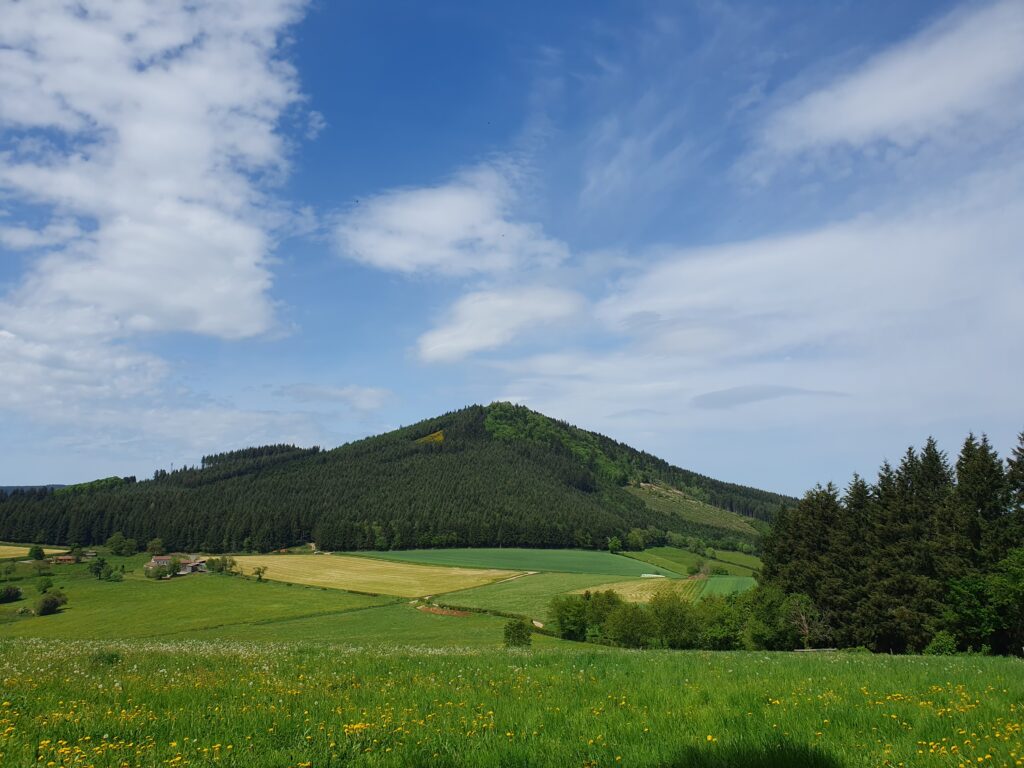The conical hill of Monnt Tourvéon, covered with forest, beyond a prairie