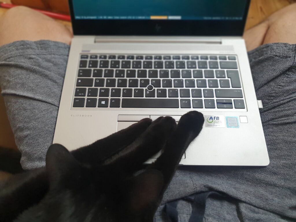 black cat resting 3 legs on the trackpad of my laptop, sitting on my lap.